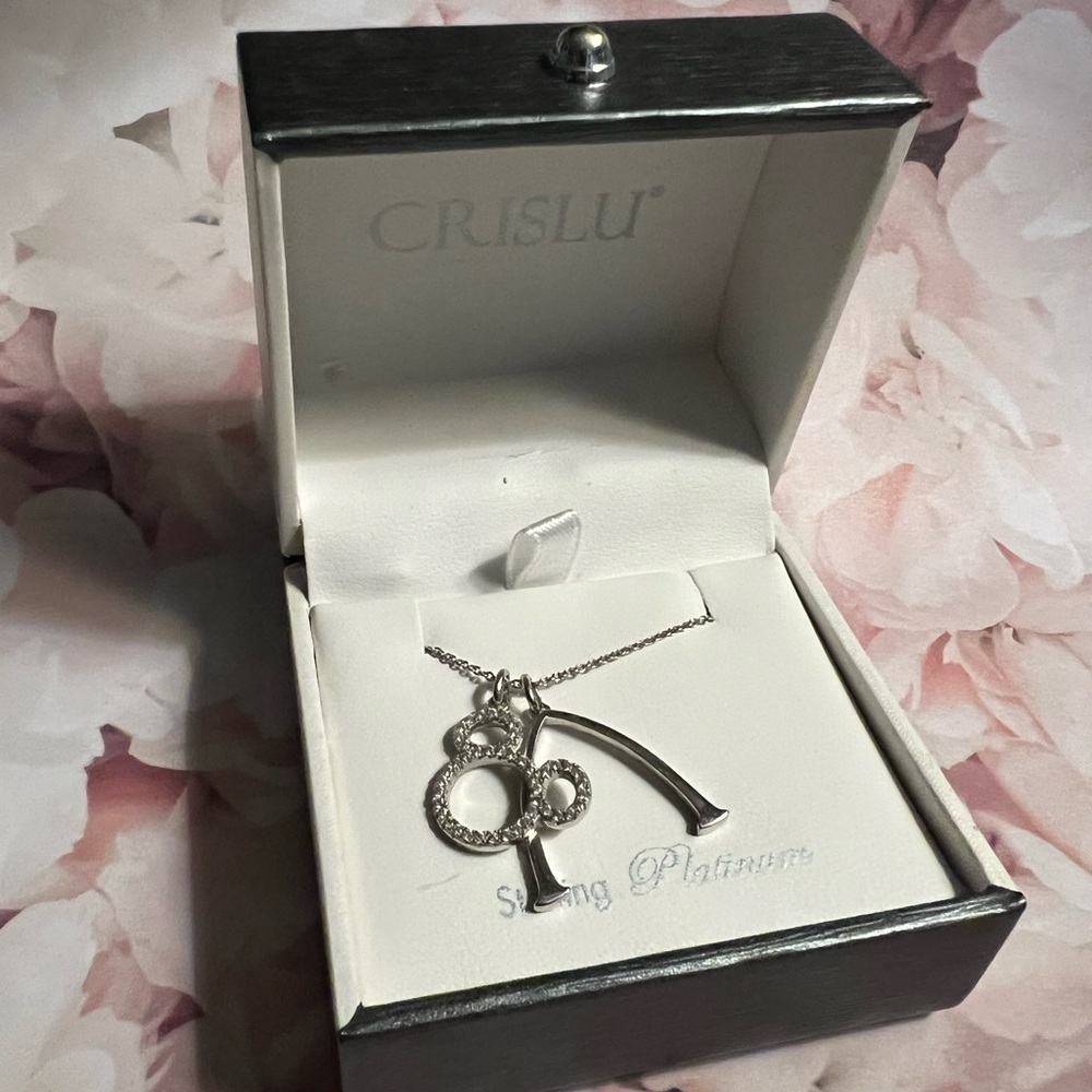 Crislu- Disney Aulani necklace.